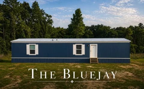 Bluejay